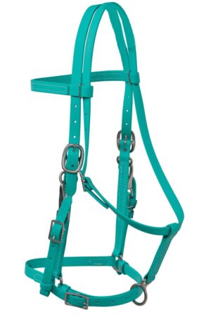 Beta Halter Bridle