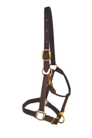 Beta Halter