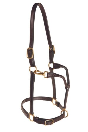 Leather 1” Track Halter