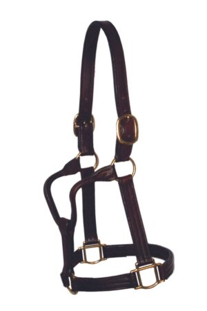 Leather 1 1/8” Wide Thoroughbred Halter