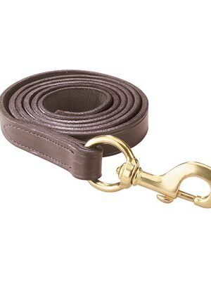 Leather Snap Lead
